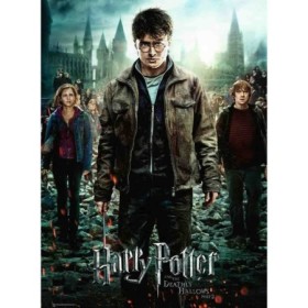 Puzzle Harry Potter si talismanele mortii partea 2 300 piese